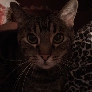 Meet your Posher, Patti